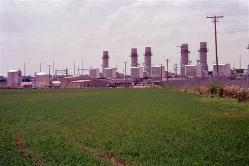 looking west at the plant