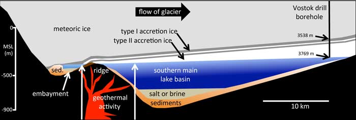 diagram of ice movement above Lake Vostok and the genetic sequences identified from the cores