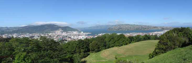 Dunedin panorama from the viewpoint