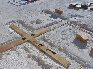 timber!! timber grade beams