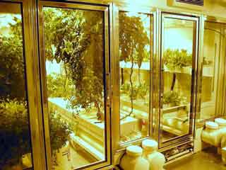 pleasant under glass