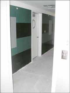the colored wall tiles