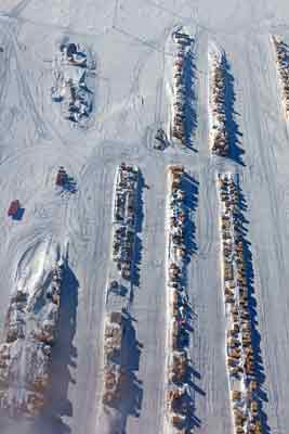 more berm rows including some of the milvans