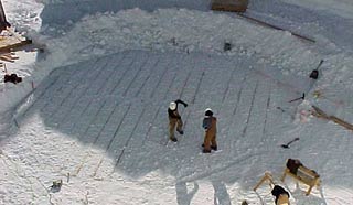 the beer can foundation being laid out