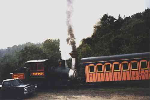 cog railway train