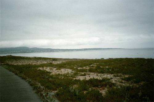 coastal zone