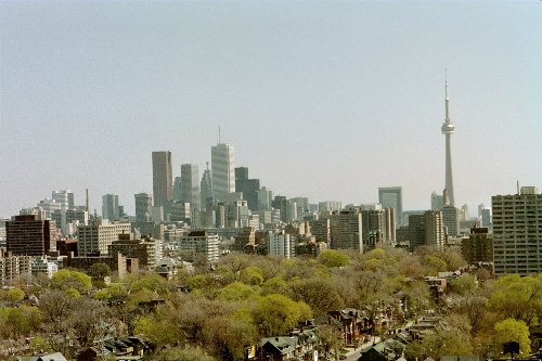 up on the roof