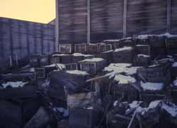 Trash or treasure?