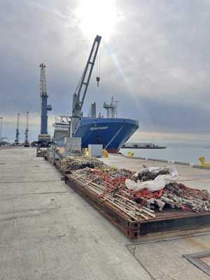 Ocean Giant loading at Port Hueneme