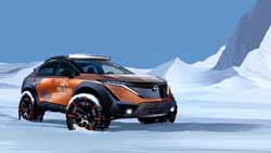 an Ariya in Antarctica