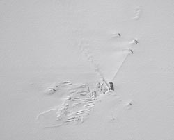 aerial shot of Pole on 3 November