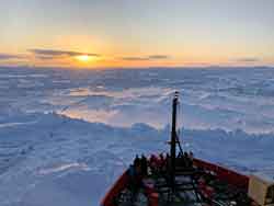 view from the Palmer at dawn March 15