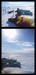 sunny day photos