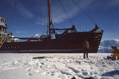 HERO against an ice floe