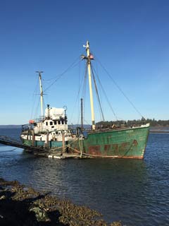 the starboard bow