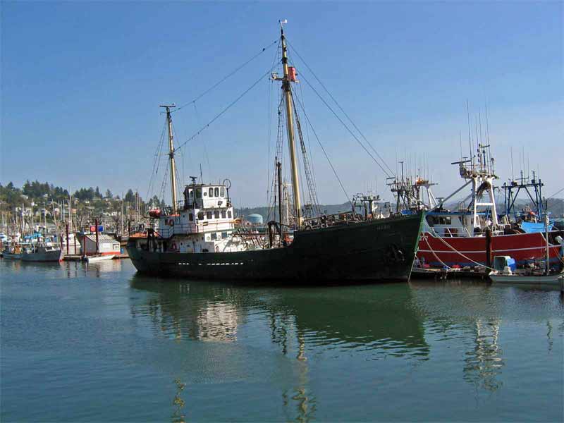 ship ahoy