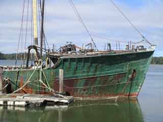 the starboard bow