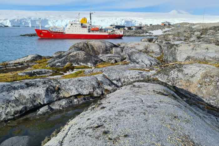 Noosfera at Palmer