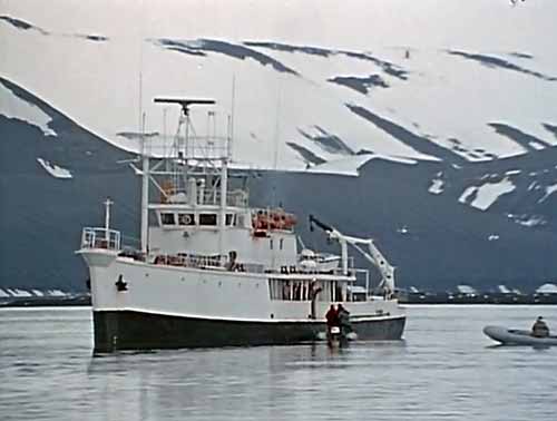 Calypso in Port Foster