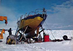 painting the Ice Bird
