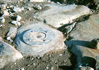 survey marker