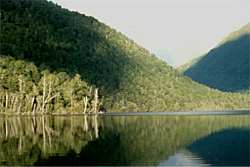 Arthur's Pass N P