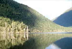 Arthur's Pass N P