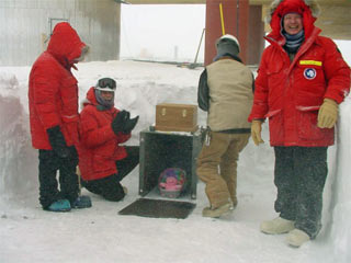 beany baby time? time capsule installation