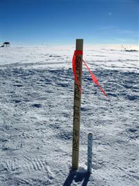stake your pole position