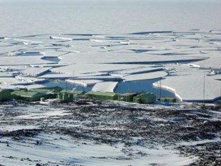 need some bar ice?