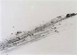 TE 901 crash site