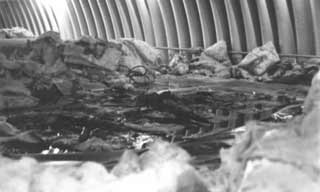 the fuel arch after a bladder fire