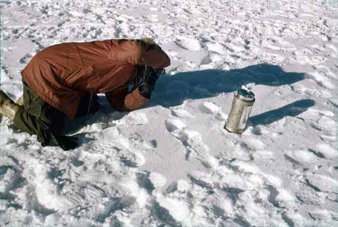 A lost time capsule seen here in 1961