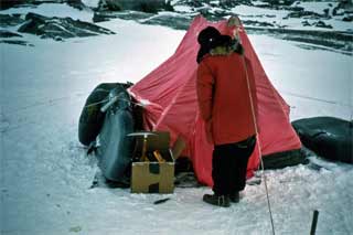 red tent